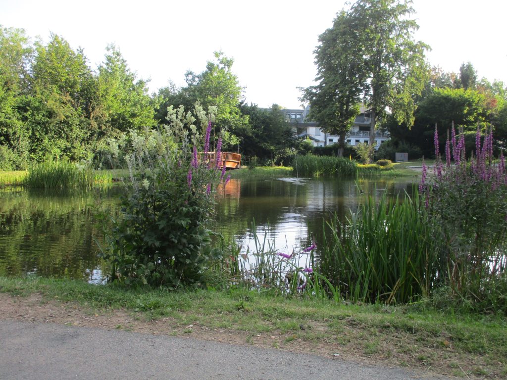 IMG_9094